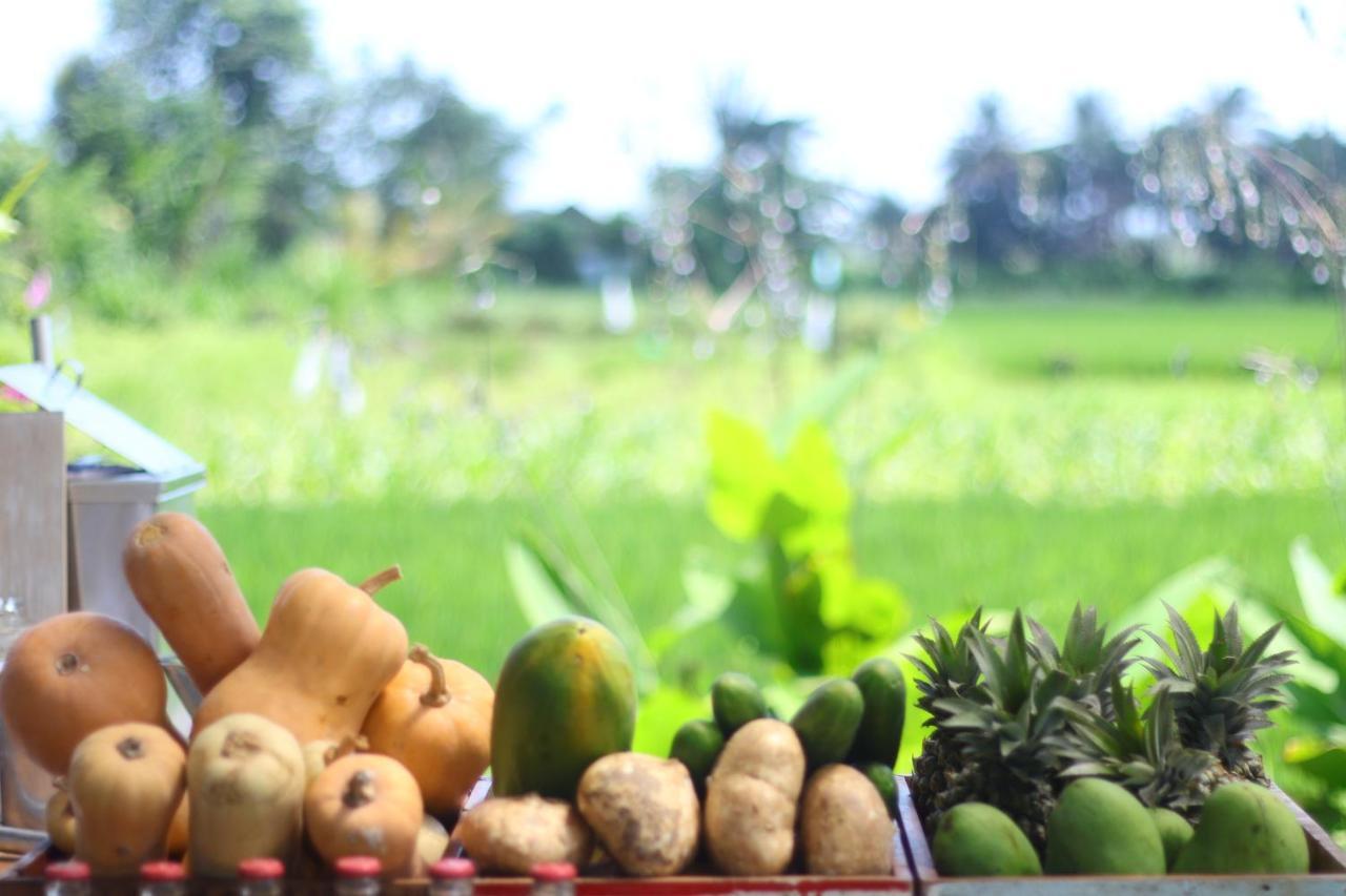 Nauna Villa Ubud Luaran gambar