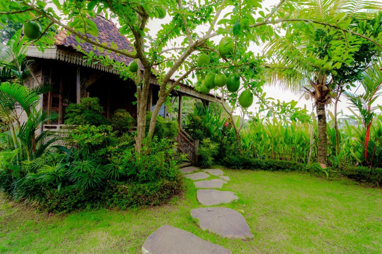 Nauna Villa Ubud Luaran gambar