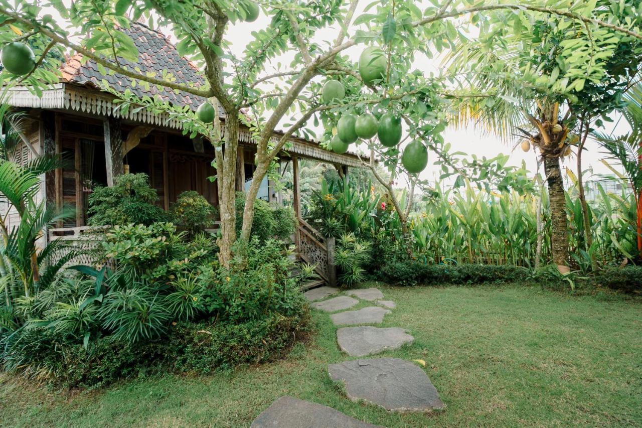 Nauna Villa Ubud Luaran gambar